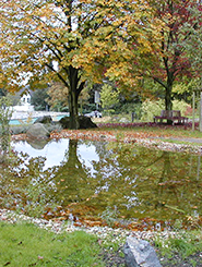 Garten